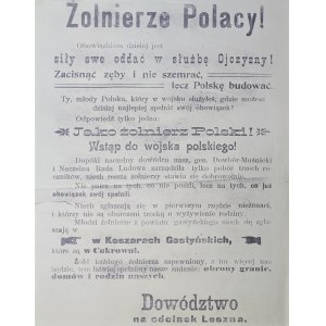 Soldiers of the Poles! / Patriotic poster