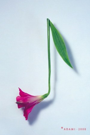 Michał Batory (ur. 1959), Adami, 2008 (podpisany)