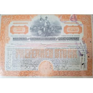 1918. Mahoning and Shenango Railway and Light Company.