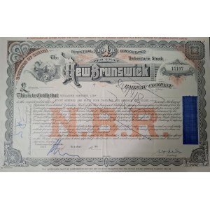 1996. NEW BRUNSWICK RAILWAY COMPANY. 854.608 Pfund Sterling! EIN UNIKAT!