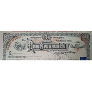 1996. NEW BRUNSWICK RAILWAY COMPANY. 854.608 Pfund Sterling! EIN UNIKAT!