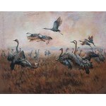 Tomasz Bednarski, Morning flight of cranes