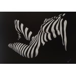 Tomasz Bednarski, Line of tenderness