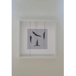 Monica Libelula, Logged Out