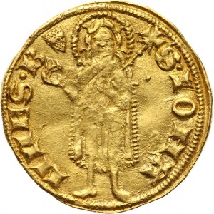 Austria, Albert II 1330-1358, goldgulden bez daty