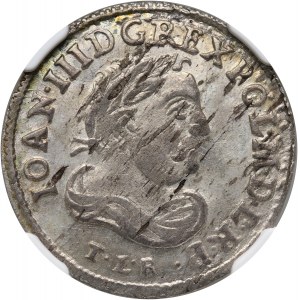 Jan III Sobieski, szóstak 1683 TLB, Bydgoszcz