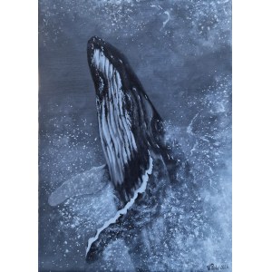 Victoria Priebe, Whale 1