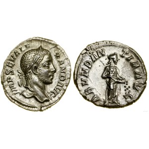 Roman Empire, denarius, (228-231), Rome