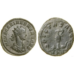 Cesarstwo Rzymskie, antoninian bilonowy, (282-283), Rzym