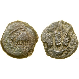 Rzym prowincjonalny, prutah, (42-43 ne), Jerozolima