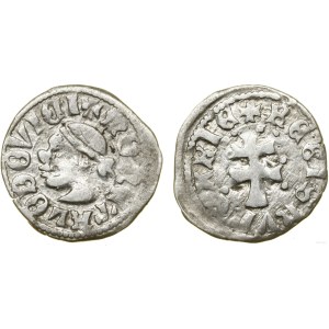 Polska, denar, (ok. 1358-1366)