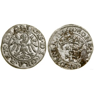 Poland, sheląg, 1546, Gdansk