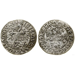 Poland, half-penny, 1548, Vilnius