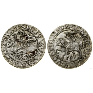 Polska, półgrosz, 1561, Wilno