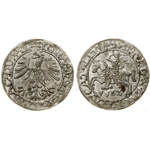 Polska, półgrosz, 1562, Wilno