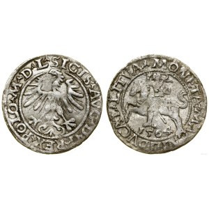 Polska, półgrosz, 1564, Wilno
