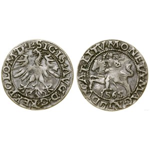 Polska, półgrosz, 1565, Wilno