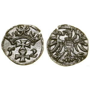 Poland, denarius, 1552, Gdansk