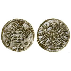Polska, denar, 1554, Gdańsk