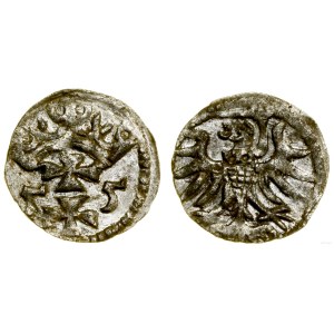 Poland, denarius, 1555, Gdansk