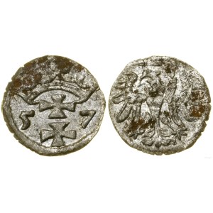 Poland, denarius, 1557, Gdansk
