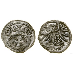 Polska, denar, 1555, Elbląg
