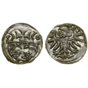 Polska, denar, 1556, Elbląg
