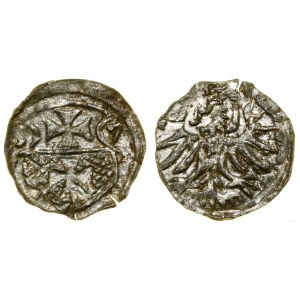 Poľsko, denár, 1557, Elbląg