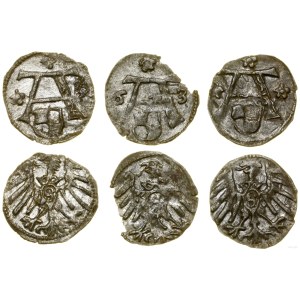 Ducal Prussia (1525-1657), set: 3 x denarius, Königsberg