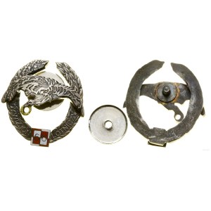Poland, 66th Air Squadron - commemorative badge