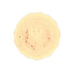 Polish Legions sticker "FOR HUMANITARY PURPOSES OF THE LEGIONS AND THE SAMARITAN". 2 haler, 1914 (1033)