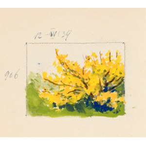 Soter August JAXA-MAŁACHOWSKI (1867-1952), Flowering bush, 1939
