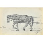 Stanislaw ŻURAWSKI (1889-1976), Horse in harness, 1921