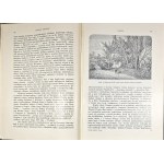 Opieński Henryk - Chopin. Z 58 ilustracjami. Wydanie 2. Lwów 1925 Książnica - Atlas.