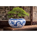 Bowl with two dragons fighting over a pearl, China, 20th century.