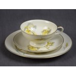 "Irises" cup, Thomas, Rosenthal