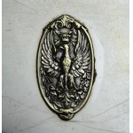 Patriotic cartridge with Polish Eagle, NORBLIN, Warsaw early 20th century plater