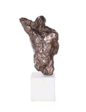 Waldemar MAZUREK (ur. 1961), Tors, 2026