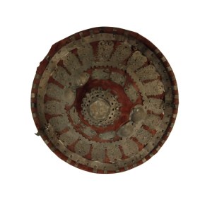 Shield from RAS