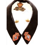 House of the Duke of Aosta, cloak collar with metal crowns and frieze