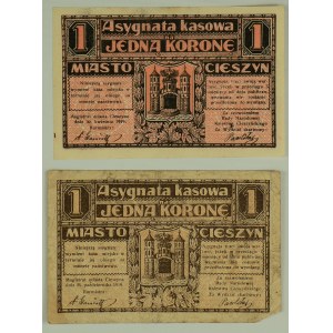 Cash Assignment - Cieszyn - Set of two banknotes - 1919