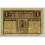 Cash Assignment - Cieszyn - Set of two banknotes - 1919