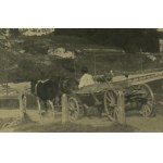 PHOTOGRAPHY - Lviv. Panorama of Lviv - ca 1920 [Union of Lublin Mound, very rare view].