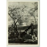 PHOTO - Springtime at the Cemetery of Defenders of Lviv - 1939 [photo: Bronislaw Kupiec].