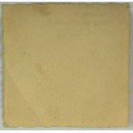 PHOTOGRAPH - Officer of the 6th Horse Rifle Regiment - 1930s [Cross of Valour, decorations].