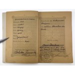 Passaporto austriaco per un polacco - 1908 [timbri, sigillo].