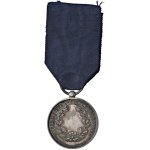 Savoy medals - Victor Emmanuel III (1900-1946) Medal to the...