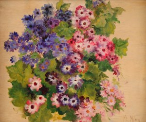 Klementyna Julia MIEN (1870-1954), 