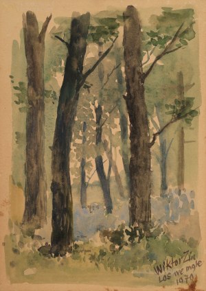 Wiktor ZIN (1925-2007), 