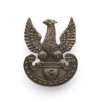 Eagle with the letter S on an amazon shield, Vienna 1914.